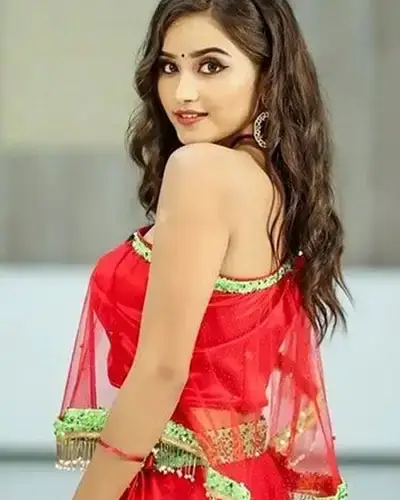Call Girls Service Sindkhede